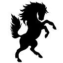 Cavallo Agency logo